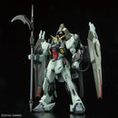 Forbidden Gundam | FM 1/100