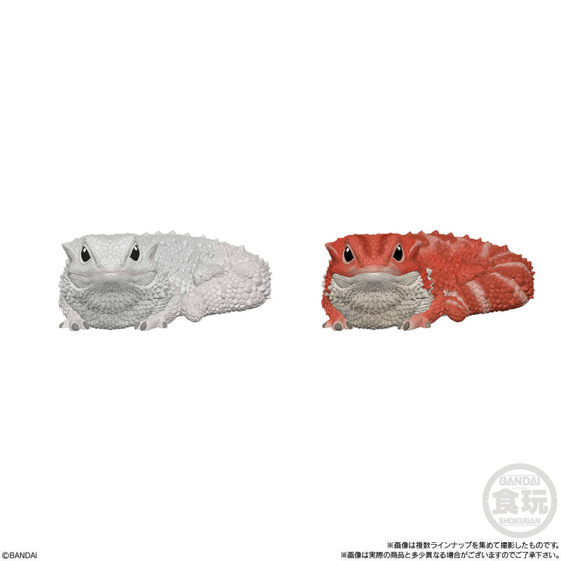 Reptiles & Amphibians (Display of 12) | Tenori Friends 8
