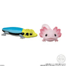 Reptiles & Amphibians (Display of 12) | Tenori Friends 8