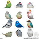 Popular Birds (Display of 12) | Tenori Friends 10