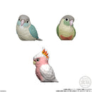 Popular Birds (Display of 12) | Tenori Friends 10