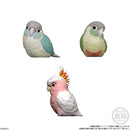Popular Birds | Tenori Friends 10