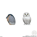 Popular Birds (Display of 12) | Tenori Friends 10