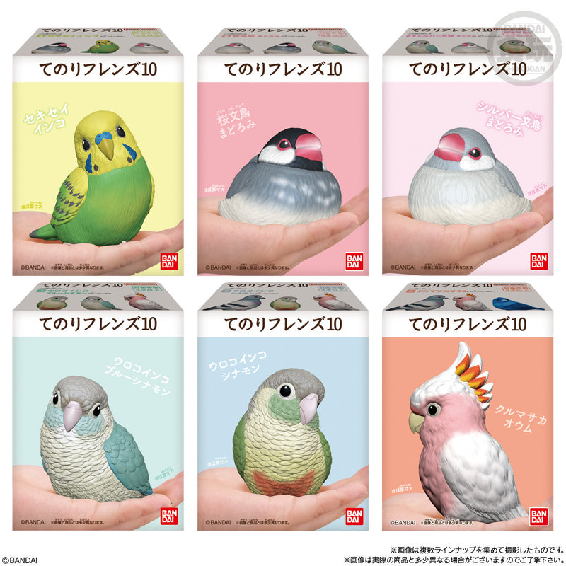 Popular Birds (Display of 12) | Tenori Friends 10