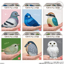 Popular Birds | Tenori Friends 10