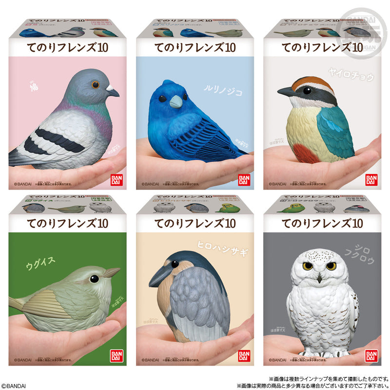 Popular Birds | Tenori Friends 10