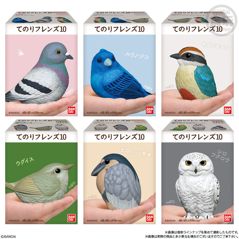 Popular Birds (Display of 12) | Tenori Friends 10
