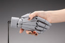Hand Model - R Gray | 1/1 Artist Support Item
