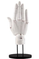 Hand Model - R White | 1/1 Artist Support Item
