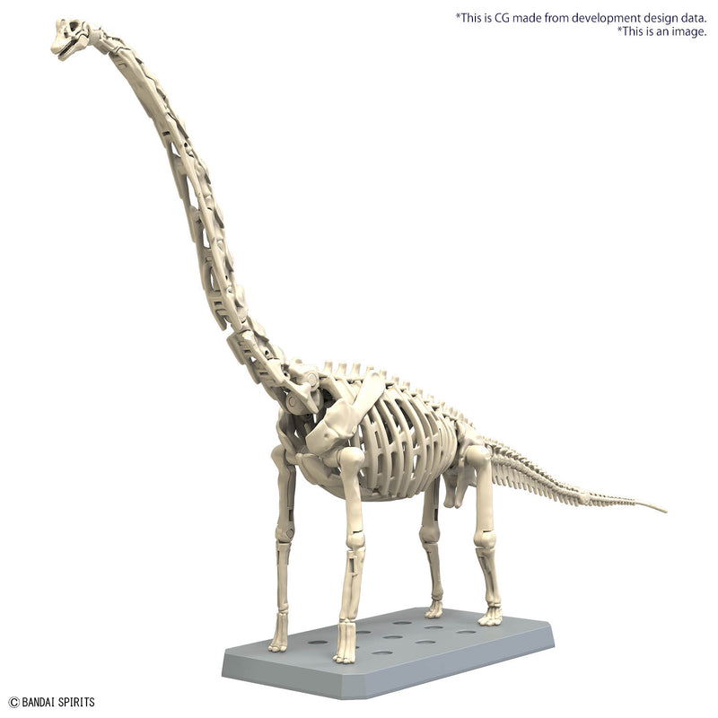Brachiosaurus | PLANNOSAURUS Model Kit
