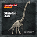 Brachiosaurus | PLANNOSAURUS Model Kit