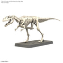 Giganotosaurus | PLANNOSAURUS Model Kit