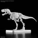 Tyrannosaurus Painting Ver. | PLANNOSAURUS Model Kit
