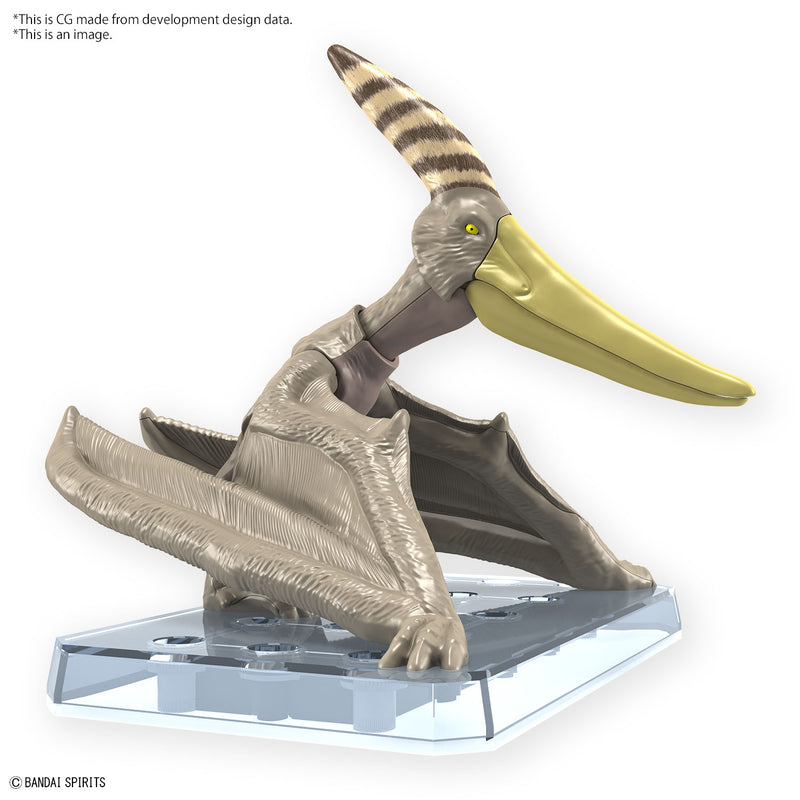 Pteranodon | PLANNOSAURUS Model Kit