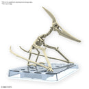Pteranodon | PLANNOSAURUS Model Kit
