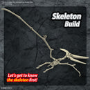 Pteranodon | PLANNOSAURUS Model Kit