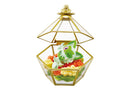 Pokemon: Romantic Collection [Blind Box]