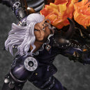 Beasts Pirates All-Star "King the Conflagration" | Portrait.Of.Pirates ONE PIECE "WA-MAXIMUM"