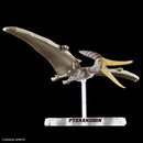 Pteranodon | PLANNOSAURUS Model Kit