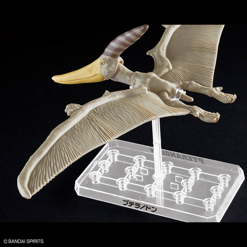 Pteranodon | PLANNOSAURUS Model Kit