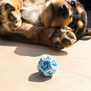 Q Workshop DOGS Dice Set: Max