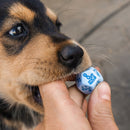 Q Workshop DOGS Dice Set: Max