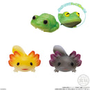 Reptiles & Amphibians (Display of 12) | Tenori Friends 11