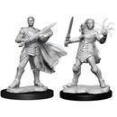 Magic The Gathering Miniatures: Rowan Kenrith & Will Kenrith