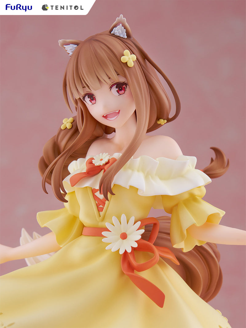 Spice & Wolf Holo | Tenitol Figure