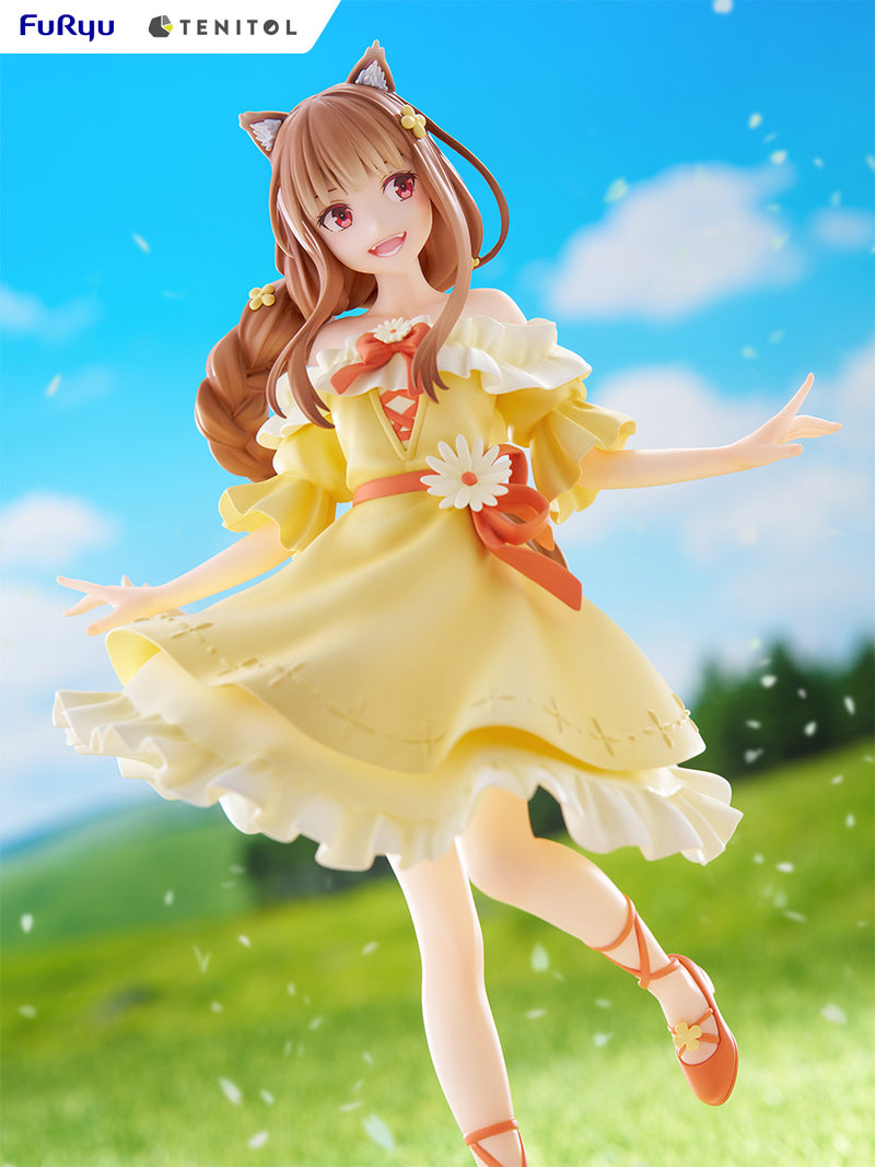 Spice & Wolf Holo | Tenitol Figure