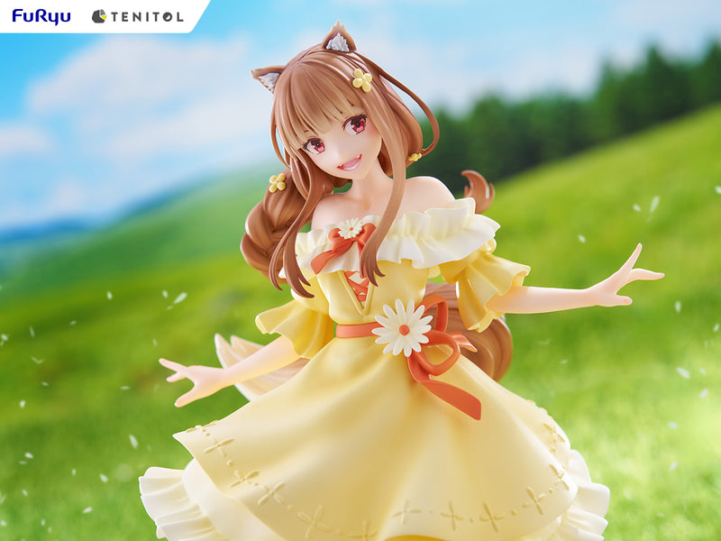 Spice & Wolf Holo | Tenitol Figure