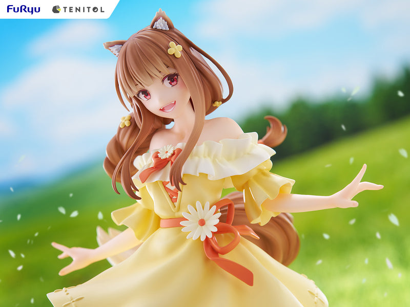 Spice & Wolf Holo | Tenitol Figure