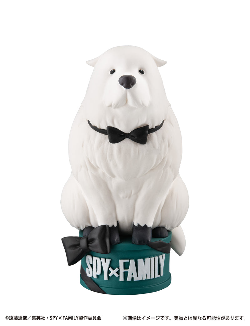 Spy x Family Big Box Set [w/ Bond Forger] | Petitrama EX Series