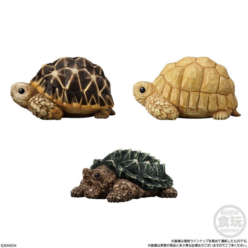 Tenori Friends 12: Reptiles & Amphibians [Blind Box]