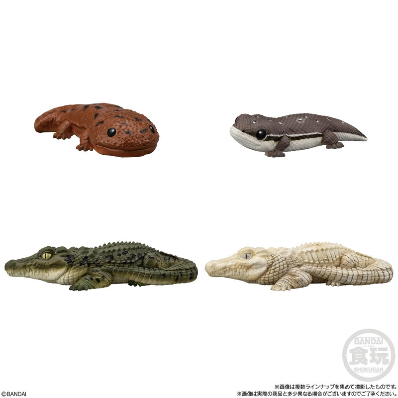 Tenori Friends 12: Reptiles & Amphibians [Blind Box]