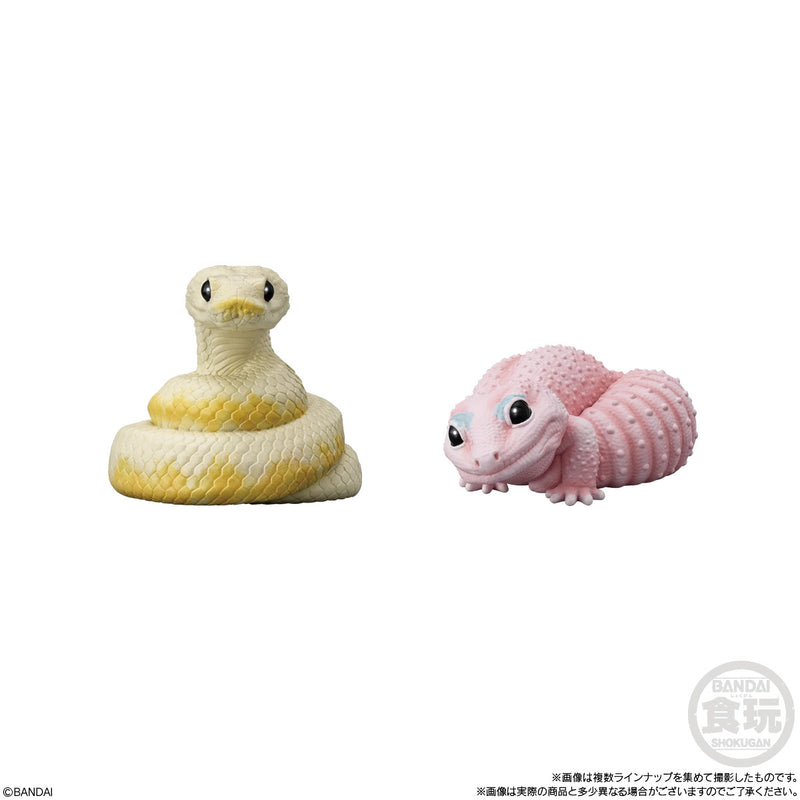 Tenori Friends 12: Reptiles & Amphibians [Blind Box]