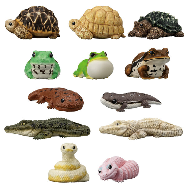 Tenori Friends 12: Reptiles & Amphibians (Display of 12)