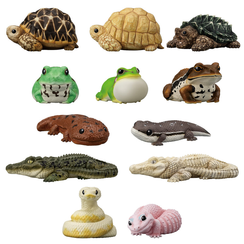 Tenori Friends 12: Reptiles & Amphibians (Display of 12)