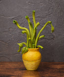 Sunflowers by Van Gogh | Figma