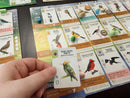 Wingspan Americas Expansion