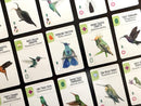 Wingspan Americas Expansion