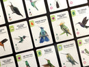 Wingspan Americas Expansion