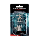 D&D Nolzur's Marvelous Miniatures: Male Human Sorcerer
