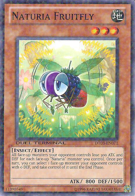 Naturia Fruitfly [DT03-EN071] Common