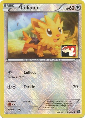 Lillipup (81/114) (League Promo) [Black & White: Base Set]