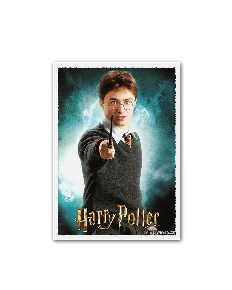 Matte Art Standard Sleeves 'Wizarding World: Harry Potter' | Dragon Shield