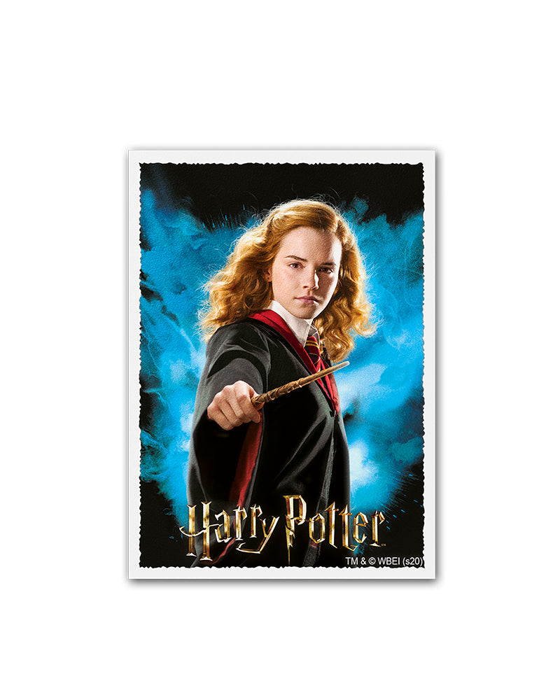 Matte Art Standard Sleeves 'Wizarding World: Hermione Granger' | Dragon Shield