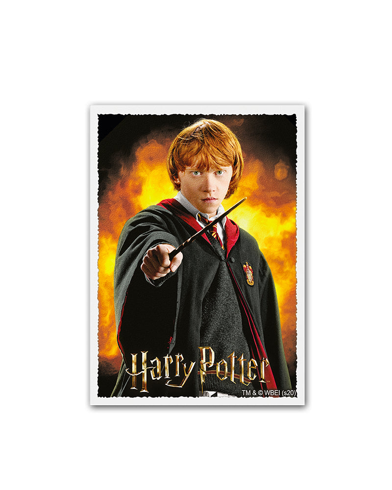 Matte Art Standard Sleeves 'Wizarding World: Ron Weasley' | Dragon Shield