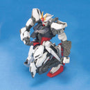 Strike Gundam + I.W.S.P | MG 1/100