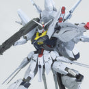 Providence Gundam (G.U.N.D.A.M Edition) | MG 1/100